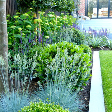 A contemporary family garden for entertaining