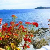 Ann Smith's photo
