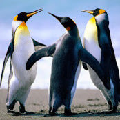 Bryan Enders's photo