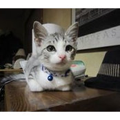Foto von Koichi Oku