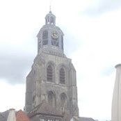 Hande Bilhan's photo