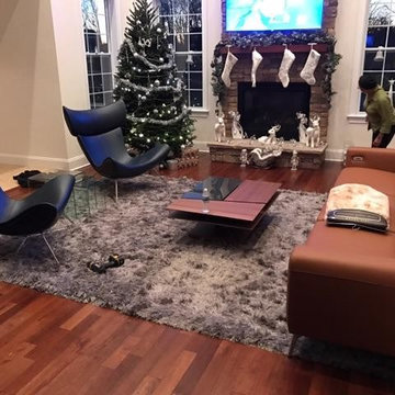 Contemporary Dining & Living Room