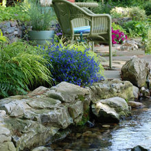 stream