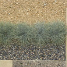 exterior - pathways