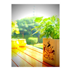 Balcony Lounge_Vertical Green Ecosystem development - Home Accessories & Decor