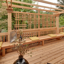 Backyard Oasis