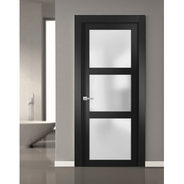 Solid French Door Frosted Glass 28 x 96, Lucia 2552 Matte Black