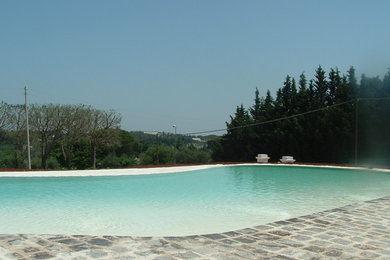 This is an example of a large contemporary side yard custom-shaped natural pool in Milan with a water feature and natural stone pavers.