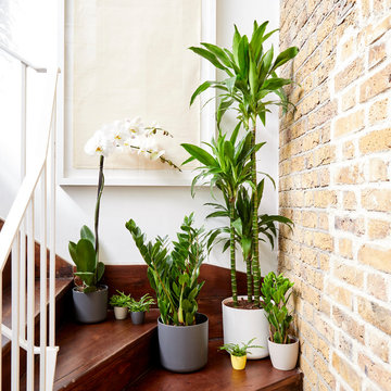 Indoor Collections
