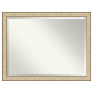 Classic Honey Silver Beveled Wall Mirror - 44 x 34 in.