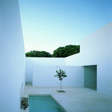 Jardín interior