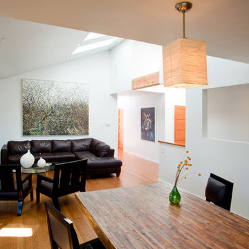 Contemporary Remodel