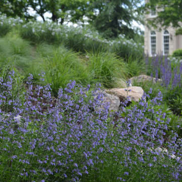 Close-up of perennial planting.