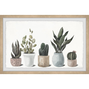 "Ultimate Succulent Collection" Framed Painting Print
