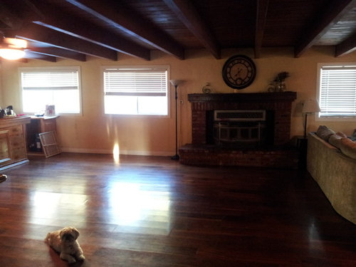 Need design ideas for our living room