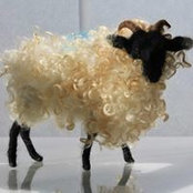 Janel Gleich's photo