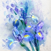 Photo de Mary Podpolucki Kersjes