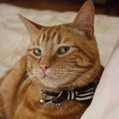 Angie Mak's photo