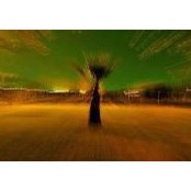 Firas Kubba's photo