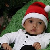 Stephanie Olson Bose's photo