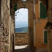 Martine Denis's photo