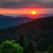 Jennifer Williams's photo