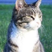 Andrea Schultz's photo