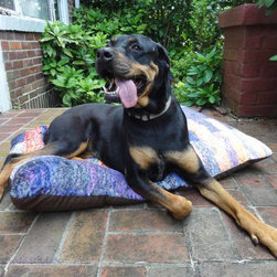 Dog Beds - Products
