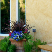 Garden Ideas