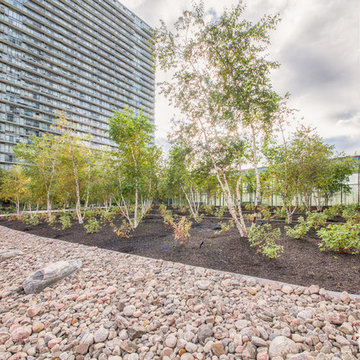 Condominium Courtyard Video Tour - Greater Toronto Area