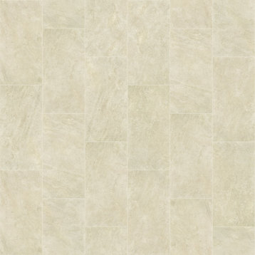 Shaw CS35W Range - 16" x 32" Rectangle Floor Tile - Matte Marble - Allure