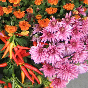 Aménagement d'un grand jardin en pots classique au printemps avec une exposition partiellement ombragée et des pavés en pierre naturelle.