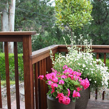 landscaping & container garden