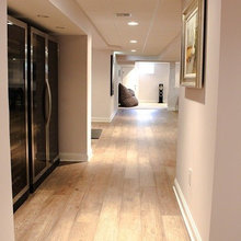 CT Basement