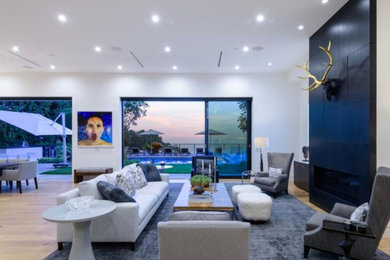 Living room - mid-sized modern living room idea in Los Angeles