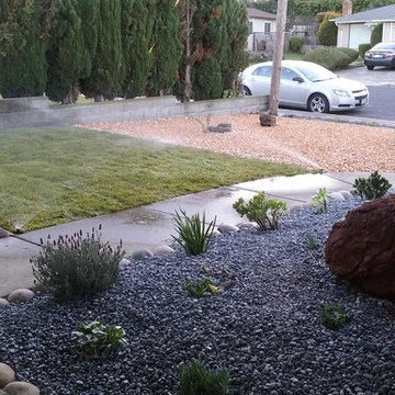 New Front Yard. Grass, Planting and Pebbles in San Pablo CA