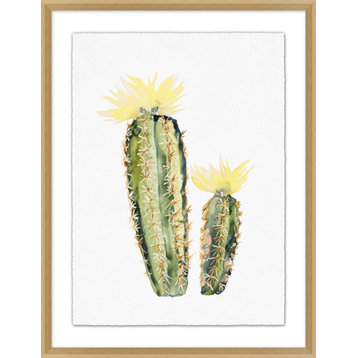 Yellow Blooming Cacti 1