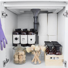 Organization