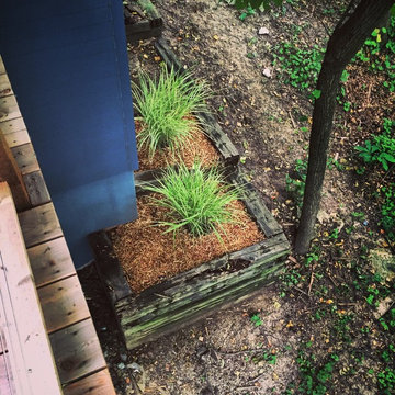 Treehouse on Foxhill