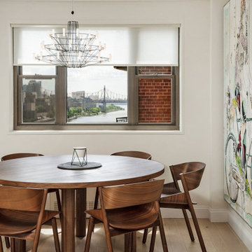 Upper East Side Co-op Renovation | 55 East End Ave