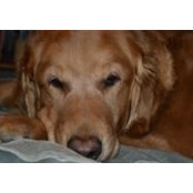 Chris Griffin's photo
