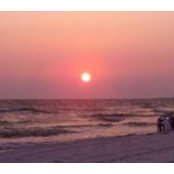Pat Scott Sharp's photo