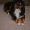 Matt Jones's photo