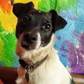 Marjorie Mullan's photo