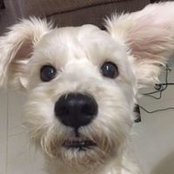 Laura Kheo's photo