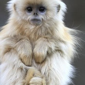 smejia27's photo