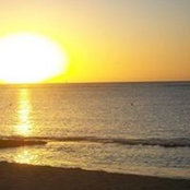 Ann Piscopo's photo
