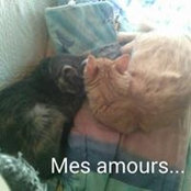 Foto von Lou Divine