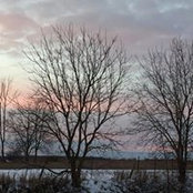 Deborah Andrews's photo