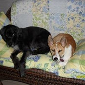 Deb Kenney's photo